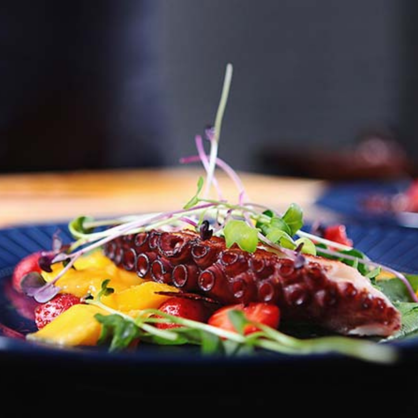 Comida Gourmet