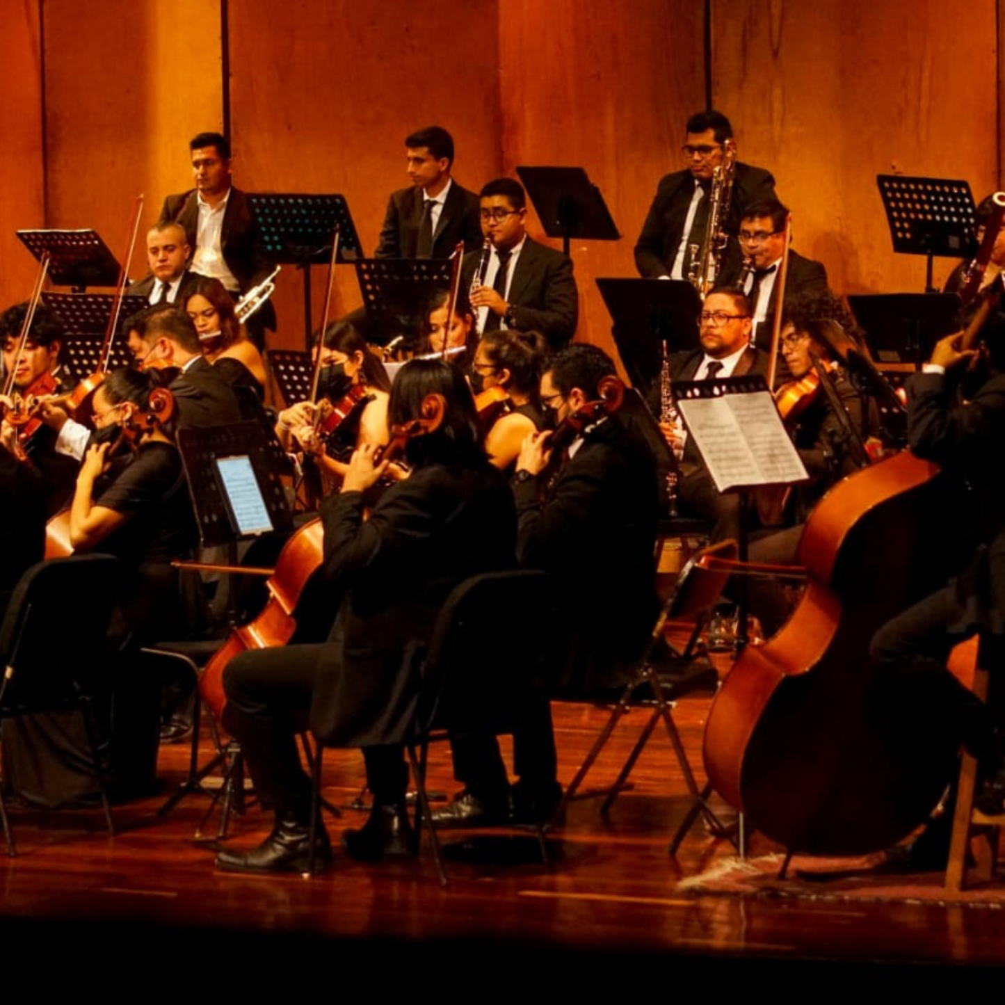 Orquesta para Eventos CDMX