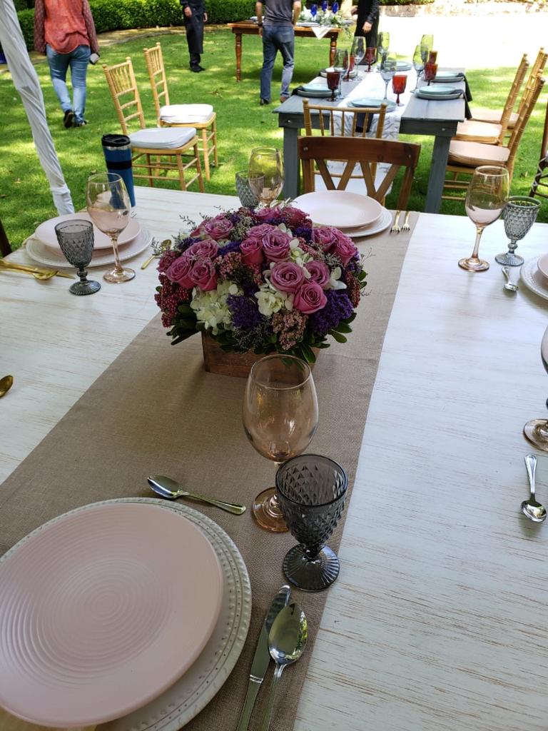 Verbena - Flores - CDMX