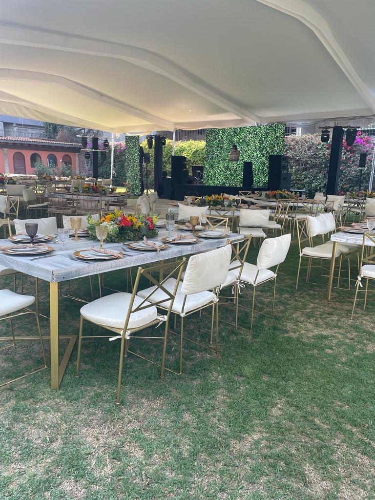 Silla Gamma - Sillas Para Banquetes