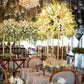 Bodas en Morelos