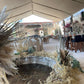 Bodas en Morelos
