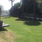 Venues