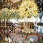 Decoración Ambiental para Eventos CDMX