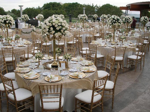 Silla Tiffany - Sillas Para Banquetes